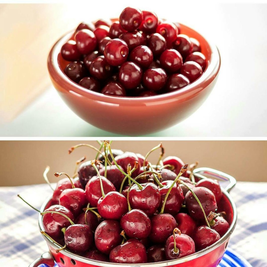 Foods Wunsch Family Farm Fruits | Sweet & Sour Michigan Cherries Combo - 6 Lbs