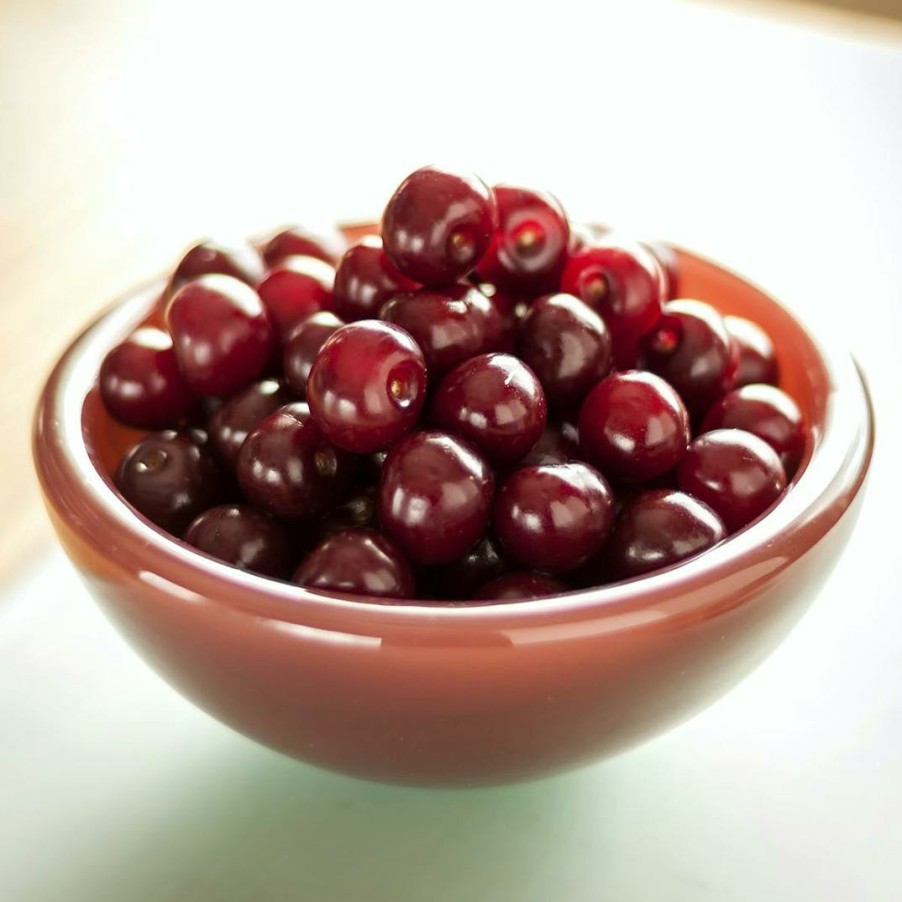 Foods Wunsch Family Farm Fruits | Sour Michigan "Balaton" Cherries - 9 Lbs