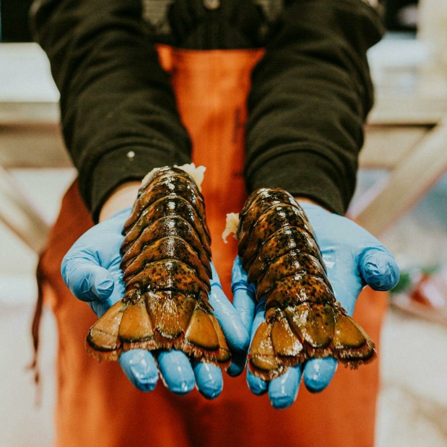 Foods Pike Place Fish Market Lobster | Lobster Tails - North Atlantic, Wild, Small