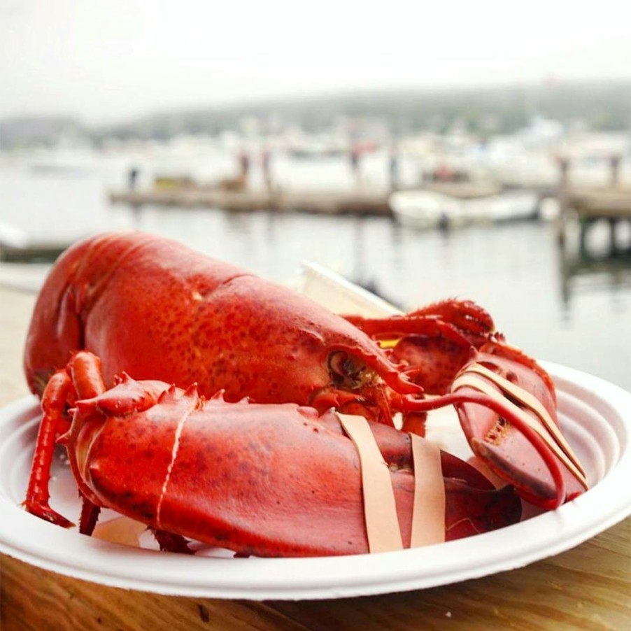 Foods Beal's Lobster Pier Lobster | Live 2 Lb Lobster - 2 Pack