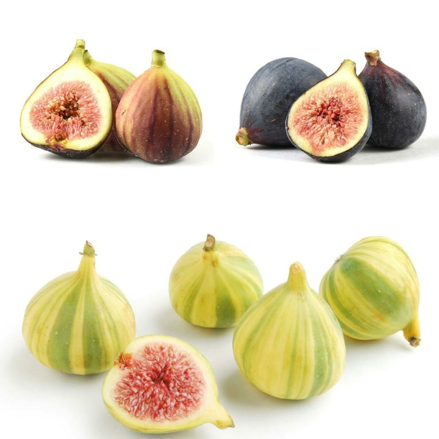 Foods Melissa's Produce Fruits | Fig Sampler - 1.5 Lbs.