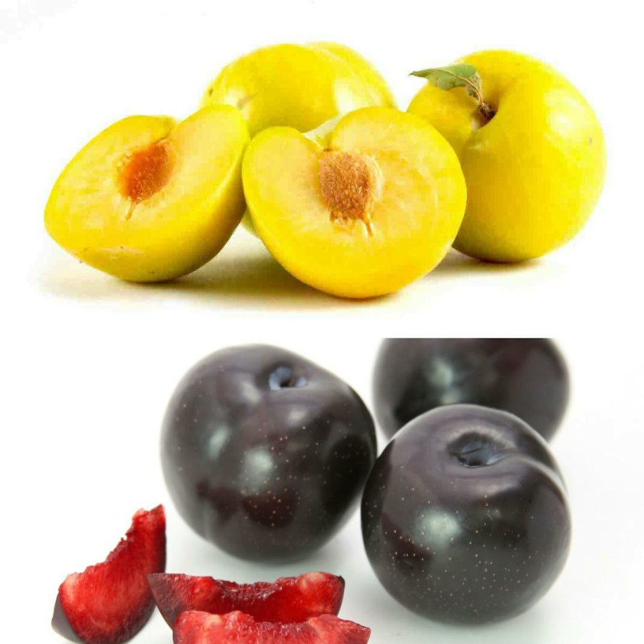 Foods Melissa's Produce Fruits | Season'S Best Plum Sampler - 3 Lbs.