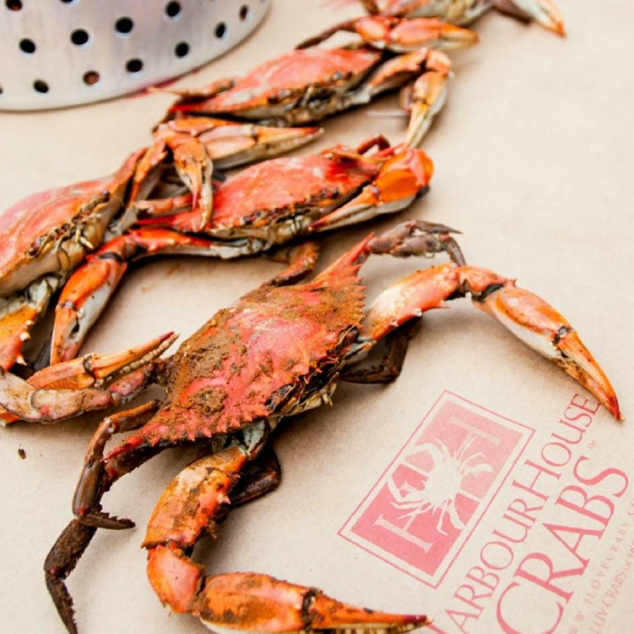 Foods Harbour House Crabs Crab | Maryland Steamed Crab Kit - Extra Large Premium Size