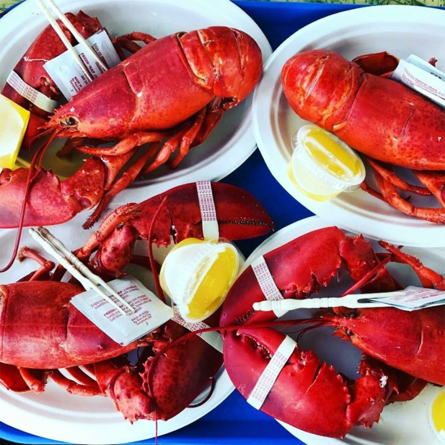 Foods Beal's Lobster Pier Lobster | Live 1.5 Lb Lobster - 4 Pack