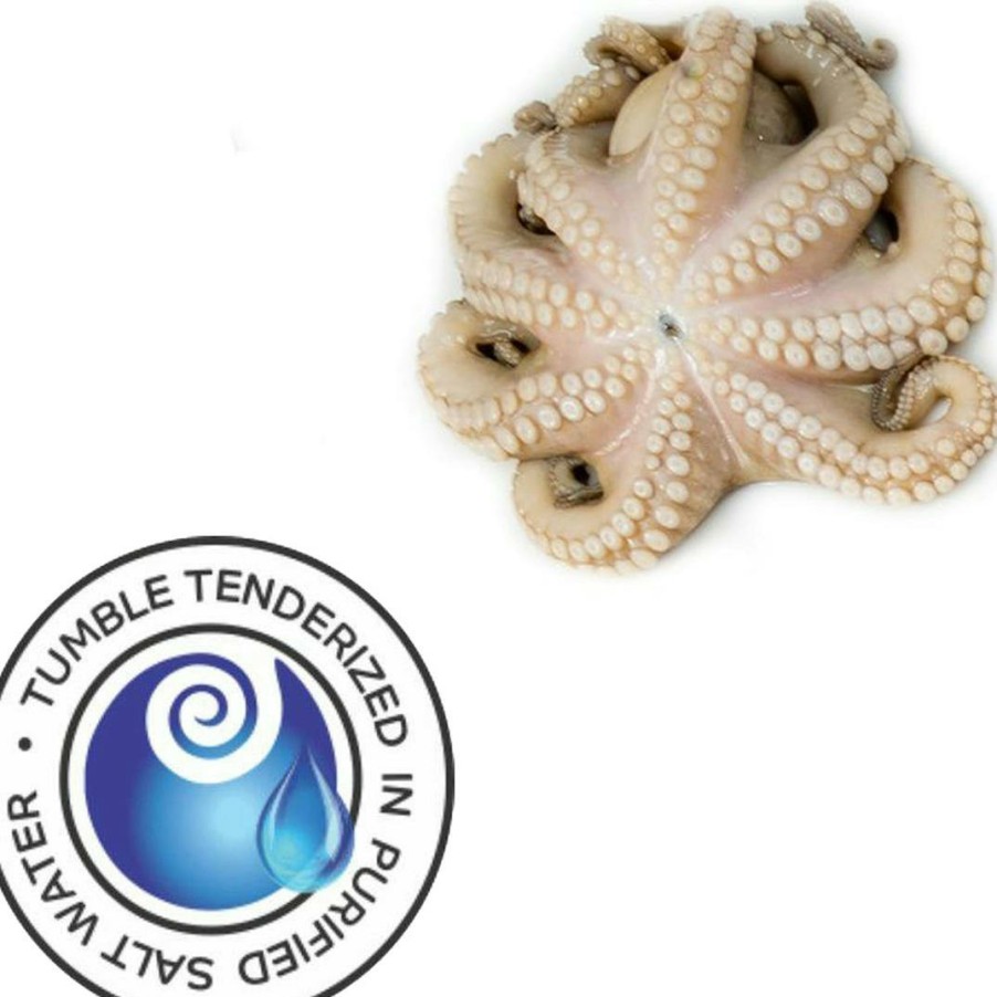 Foods Gullo Octopus Fish | Raw Tenderized Octopus - 10 Oz.