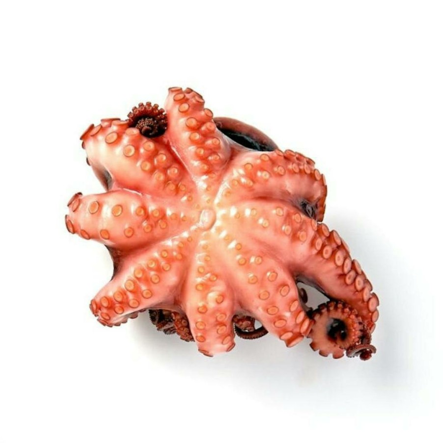 Foods Gullo Octopus Fish | Raw Tenderized Octopus - 10 Oz.