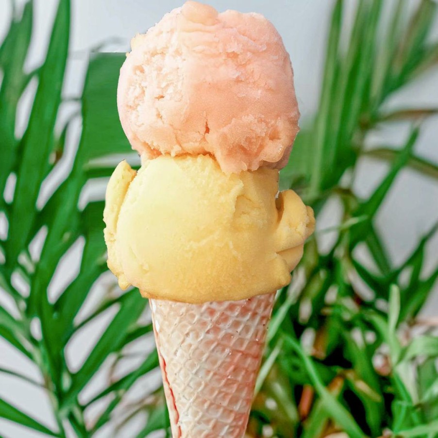 Foods Island Pops Ice Cream | Vegan Sorbet Best Seller - 4 Pints