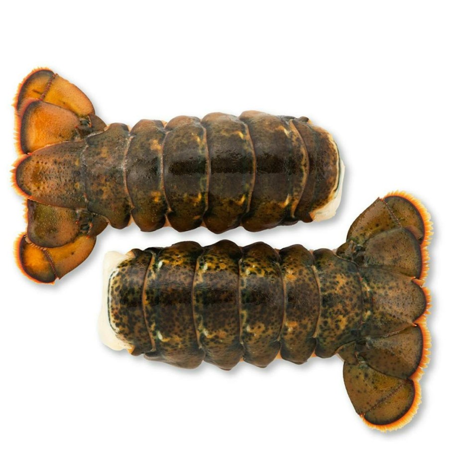 Foods Fulton Fish Market Lobster | Wild Lobster Tails - 4 Pack