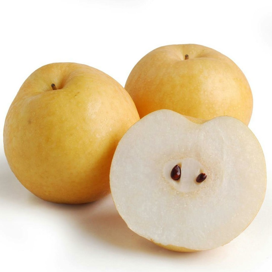 Foods Melissa's Produce Fruits | Asian Pear - 4 Pack