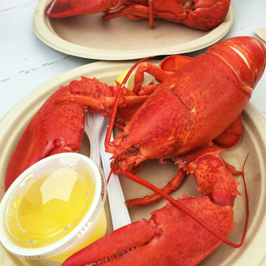 Foods McLoons Lobster Shack Lobster | 1.5 Lb. Lobster