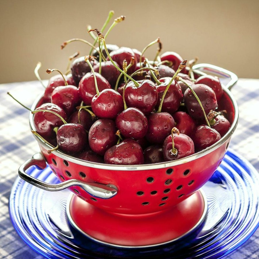 Foods Wunsch Family Farm Fruits | Sour Michigan "Balaton" Cherries - 3 Lbs