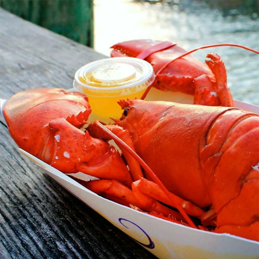 Foods Beal's Lobster Pier Lobster | Live 2 Lb Lobster - 4 Pack